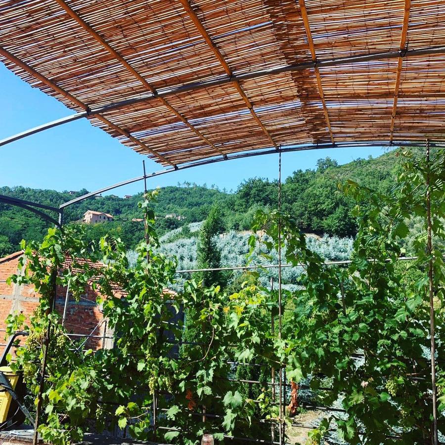 La Casa Di Giobatta Bed & Breakfast Tovo San Giacomo Ngoại thất bức ảnh